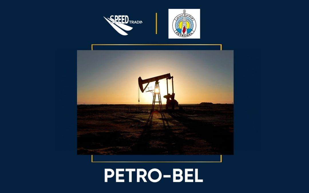 حلول أمنية متكاملة لقطاع النفط والغاز | مشروع PETRO-BEL في مصر